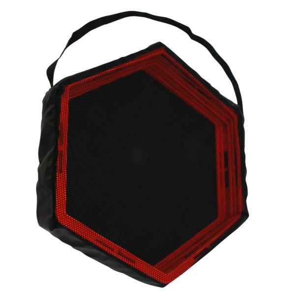 Hexagonal Ladder