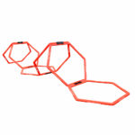 Hexagonal Ladder