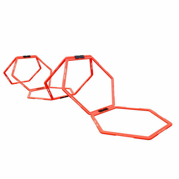 Hexagonal Ladder