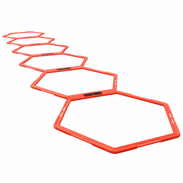 Hexagonal Ladder
