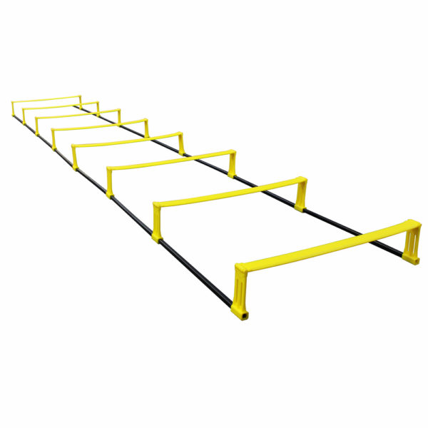 Agility Elevation Ladder
