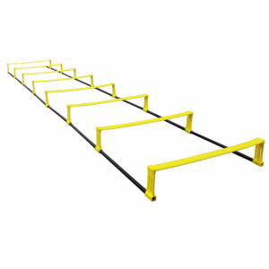 Agility Elevation Ladder