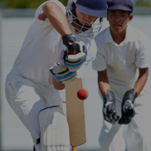 Cricket