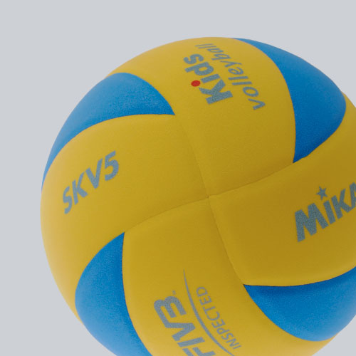 Volleyball Sports Distributors