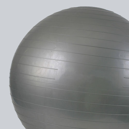 Swiss Balls & Balance Aids Sports Distributors