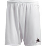 Adidas Parma 16 Shorts - Adults