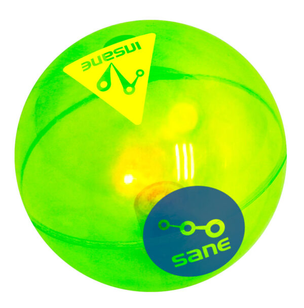 Crazy Catch Flashing Ball