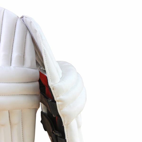 Avaro Batting Pads - Boys