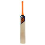 Avaro Kashmir Willow Cricket Bat - Short Handle