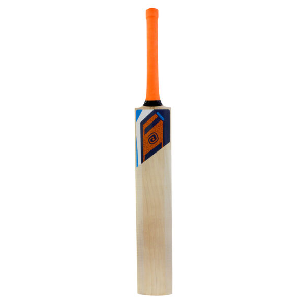 Avaro Kashmir Willow Cricket Bat - Short Handle