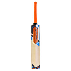 Avaro Kashmir Willow Cricket Bat - Short Handle