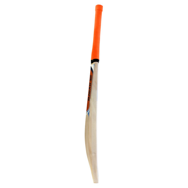 Avaro Kashmir Willow Cricket Bat - Short Handle