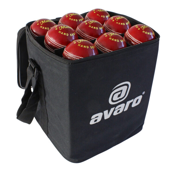 Avaro 36 Ball Carry Bag