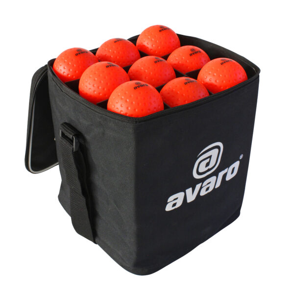 Avaro 36 Ball Carry Bag
