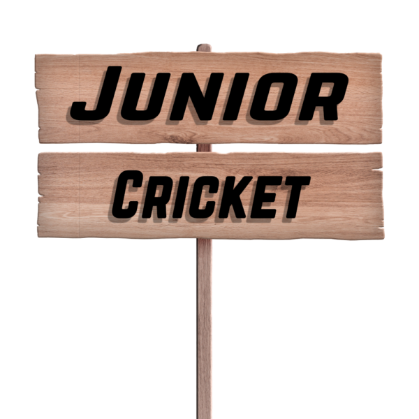 Funding - Cricket Junior