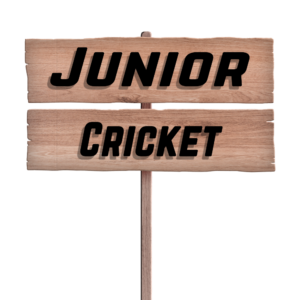 Funding - Cricket Junior