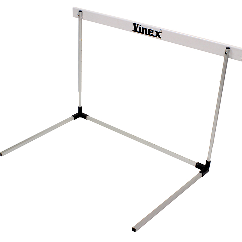 Alu Practice Hurdle