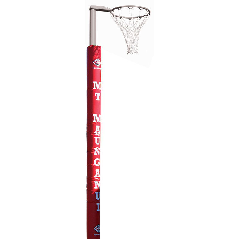 Outdoor Goal with hoop 50NB