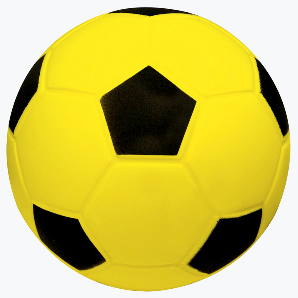 Ki-O-Rahi Ball