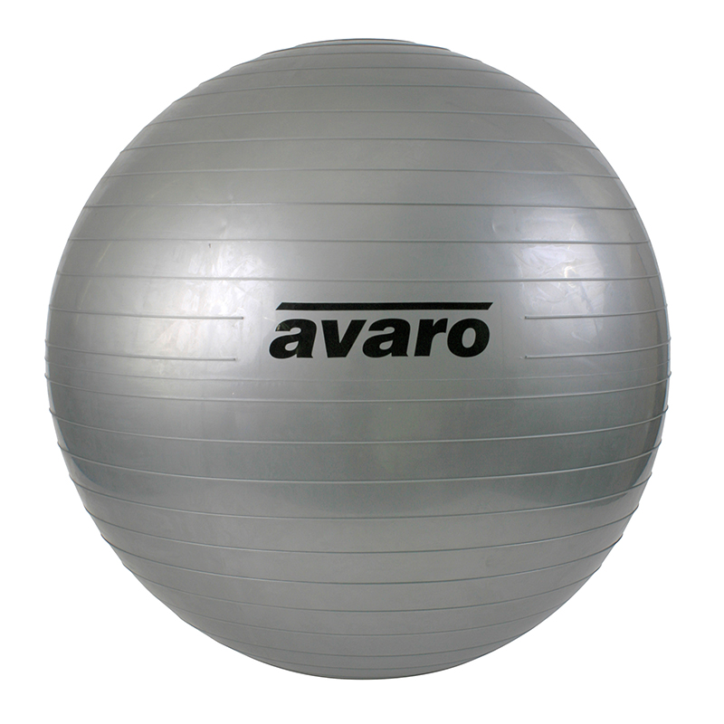 Swiss Balls & Balance Aids Sports Distributors